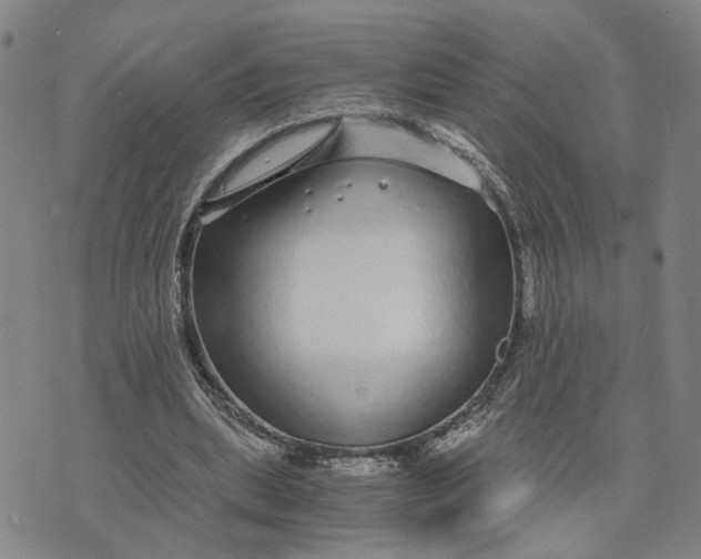 X0000076270439200610191743