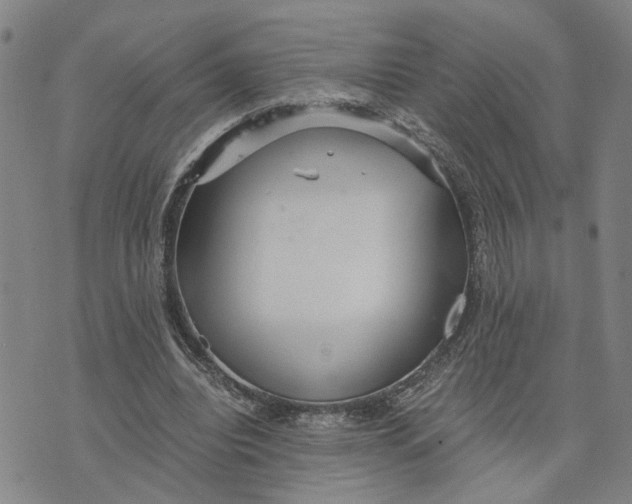 X0000076270440200610191743