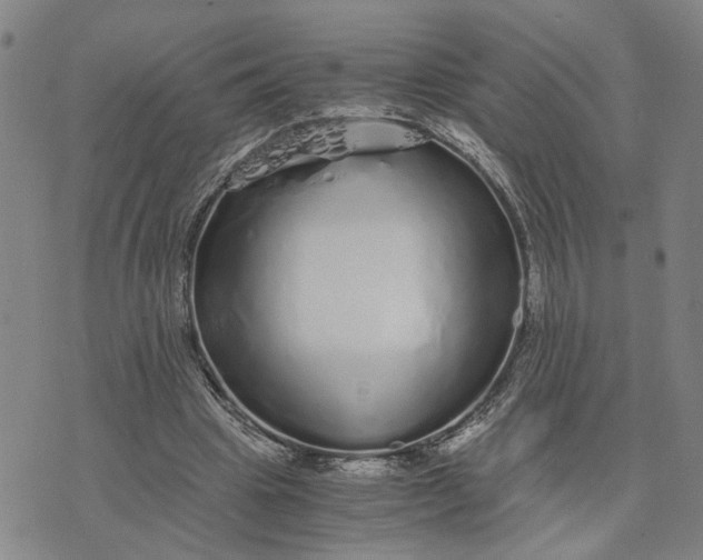 X0000076270441200610191743