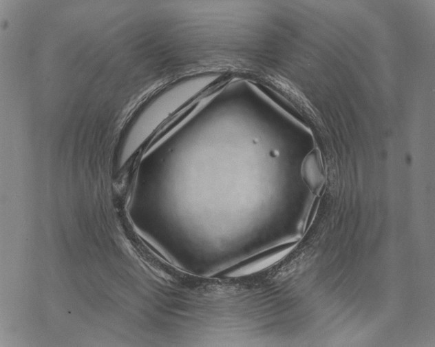 X0000076270442200610191743