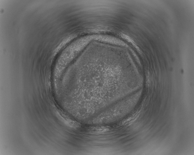 X0000076270443200610191743