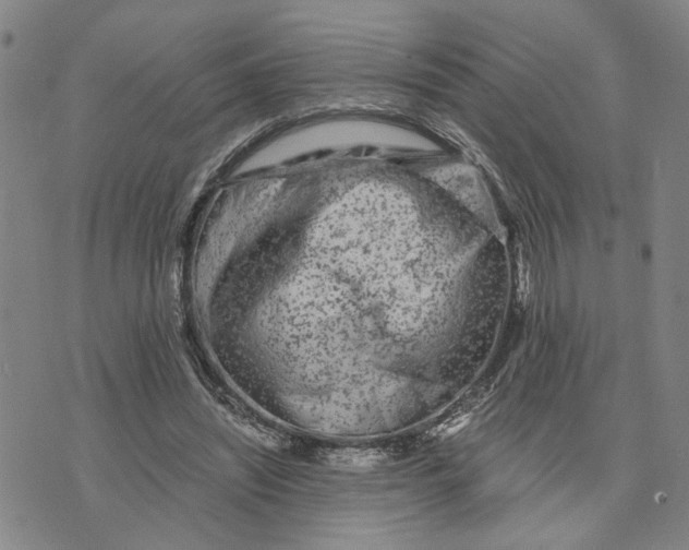 X0000076270444200610191743