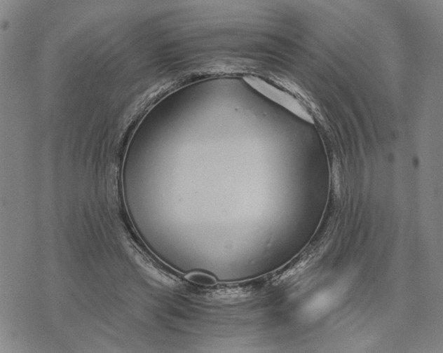 X0000076270445200610191743