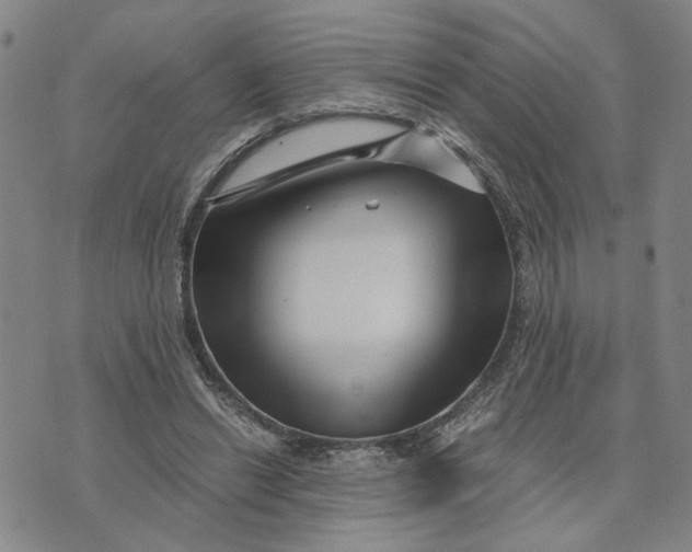 X0000076270446200610191743