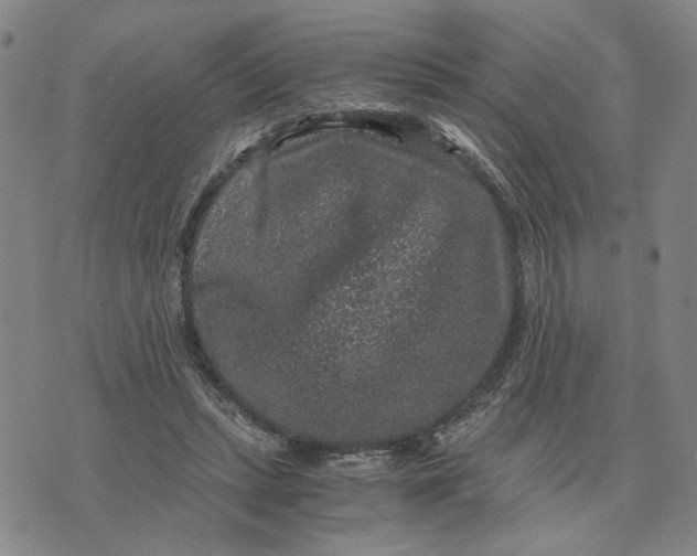 X0000076270447200610191744