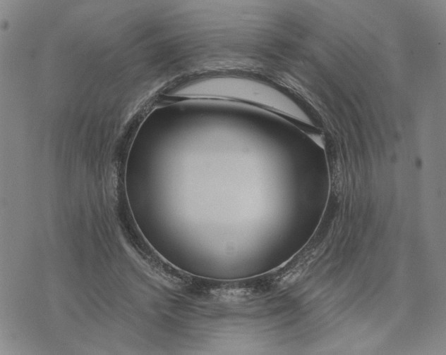 X0000076270448200610191744