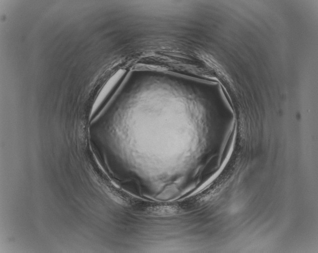 X0000076270449200610191744