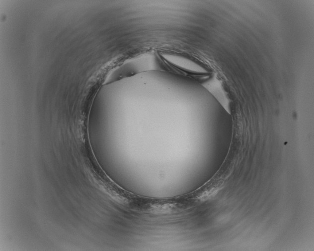 X0000076270450200610191744