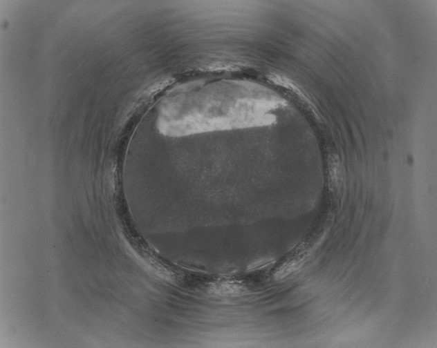 X0000076270451200610191744