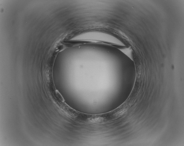 X0000076270452200610191744