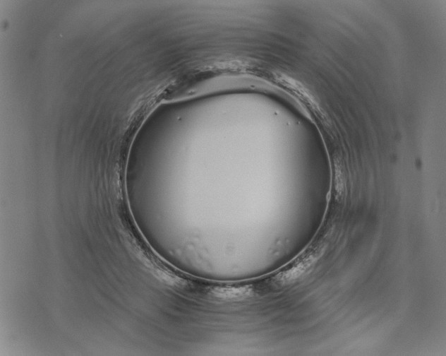 X0000076270453200610191744