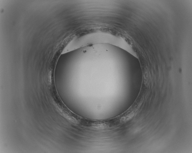 X0000076270454200610191744