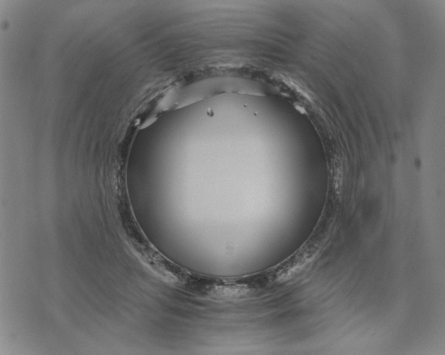 X0000076270455200610191744