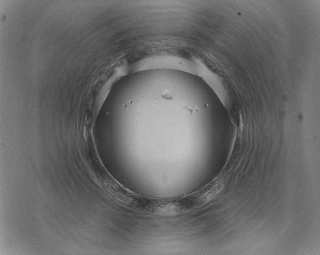 X0000076270456200610191744