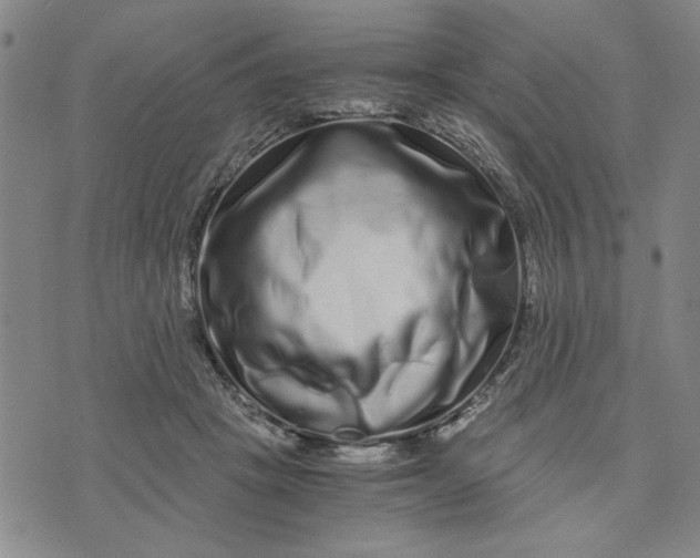 X0000076270457200610191744