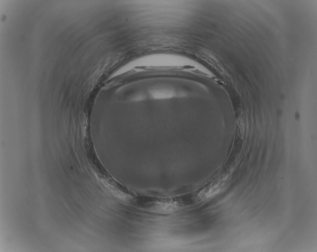 X0000076270458200610191744