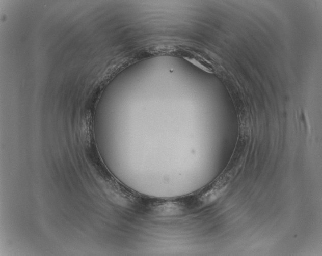 X0000076270460200610191744