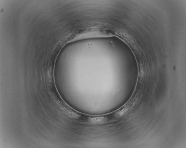 X0000076270461200610191744