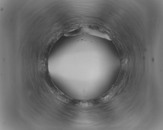 X0000076270464200610191744