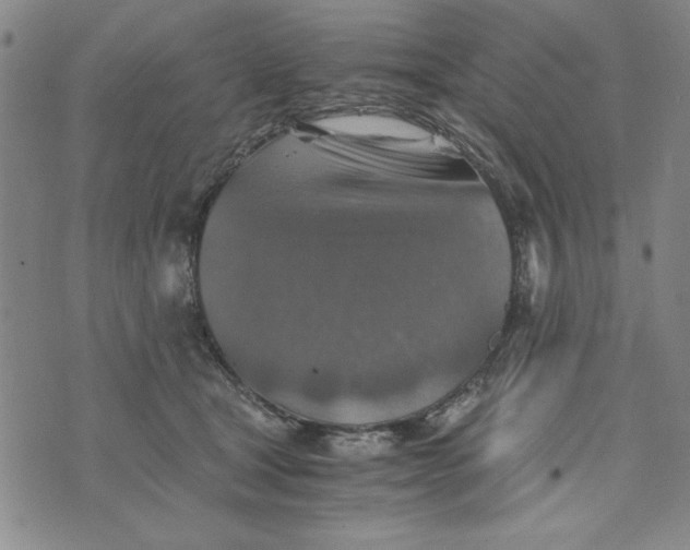 X0000076270465200610191744