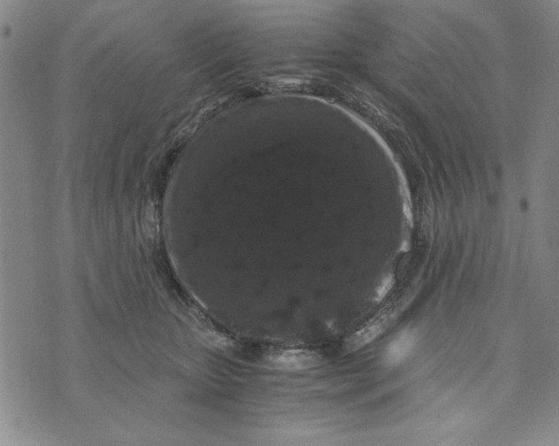 X0000076270467200610191744