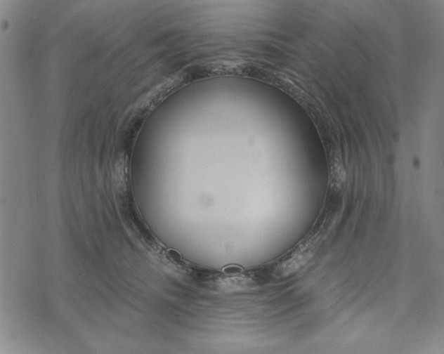 X0000076270468200610191744