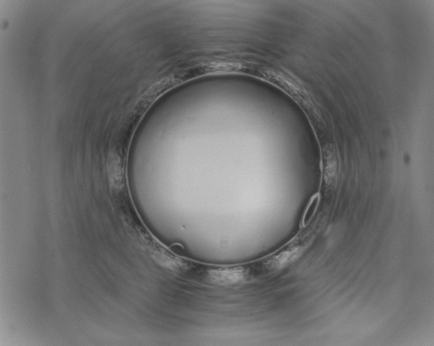 X0000076270469200610191744