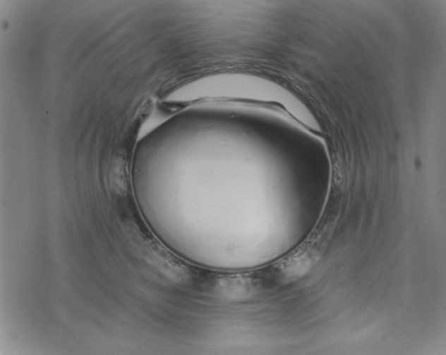 X0000076270470200610191744