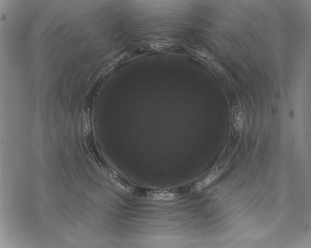 X0000076270471200610191744