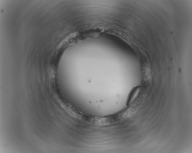 X0000076270472200610191744