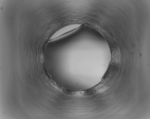 X0000076270474200610191744