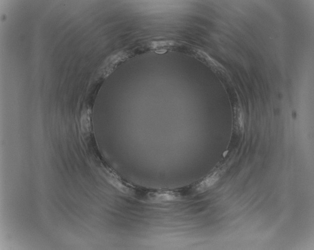 X0000076270475200610191744