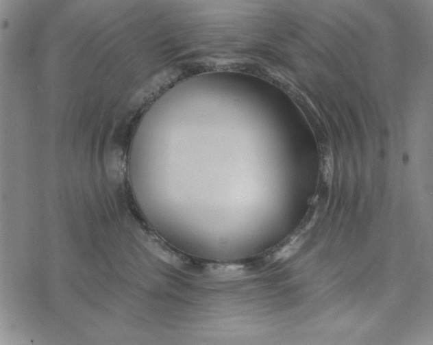 X0000076270476200610191744