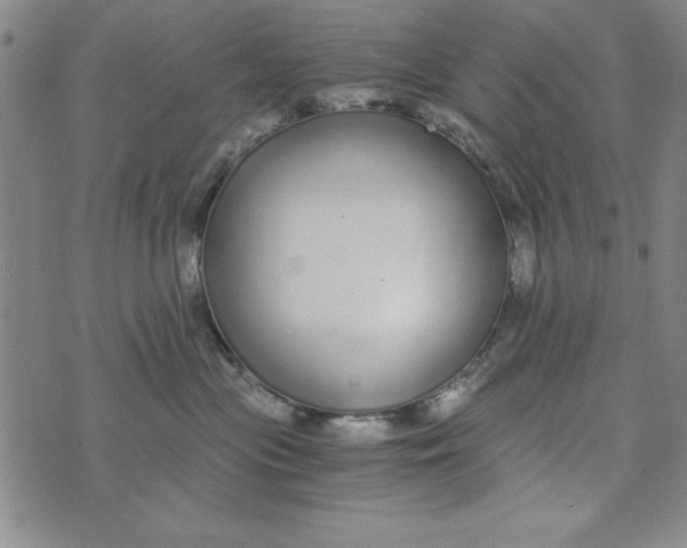 X0000076270477200610191744