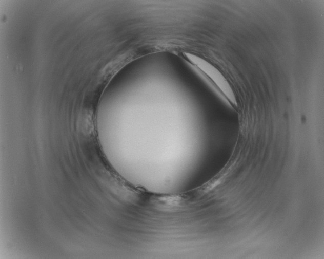 X0000076270478200610191744