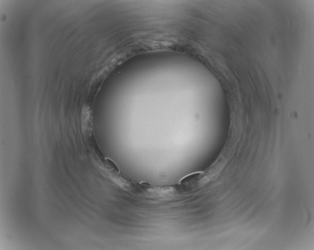 X0000076270480200610191744