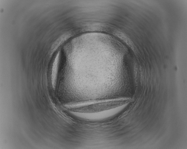 X0000076270482200610191743