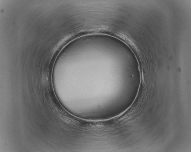 X0000076270483200610191743