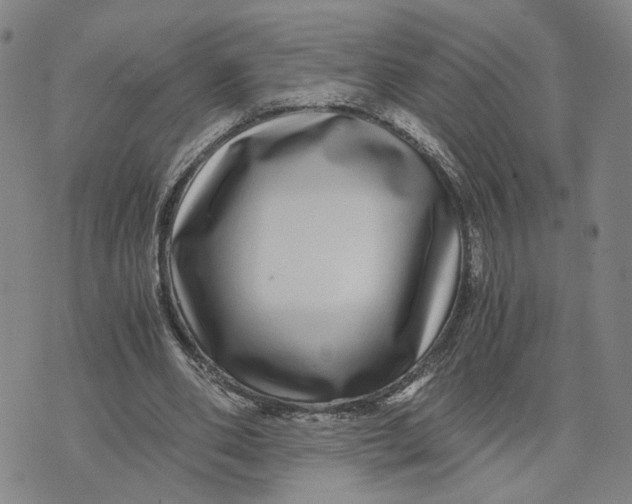 X0000076270486200610191743