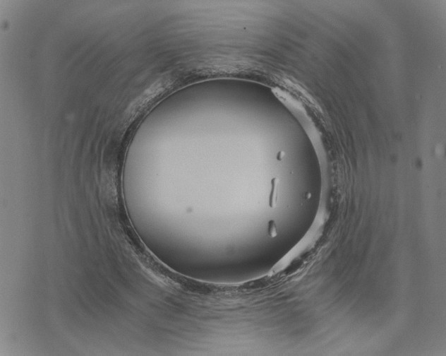 X0000076270489200610191743