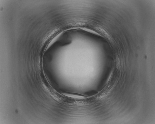 X0000076270490200610191743