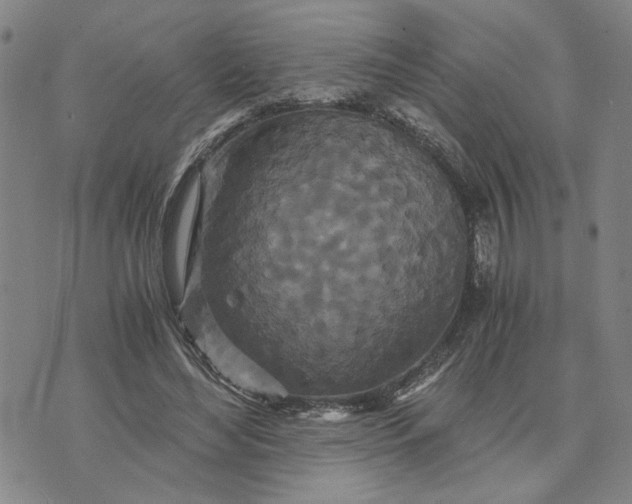 X0000076270492200610191743