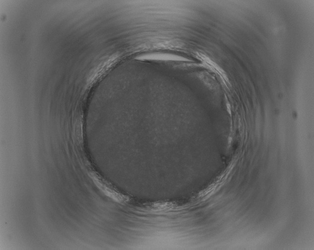 X0000076270493200610191743