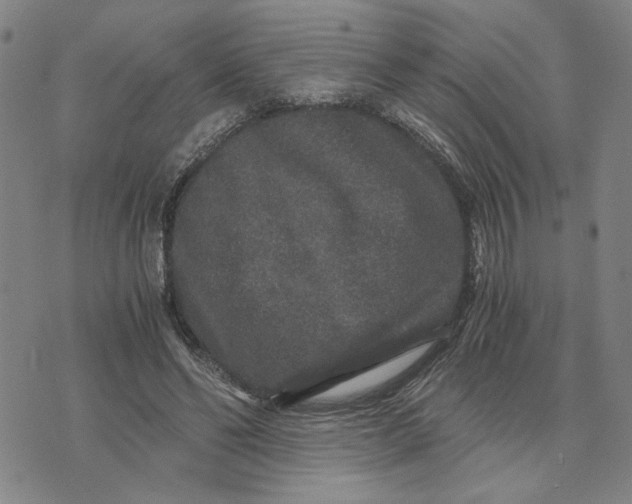 X0000076270494200610191743