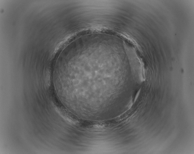 X0000076270496200610191743