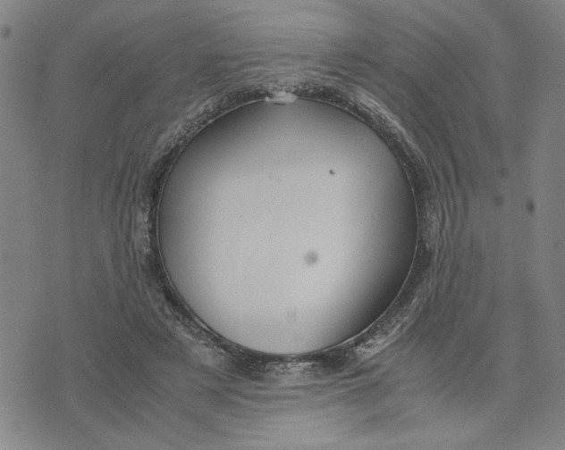 X0000076270497200610191743