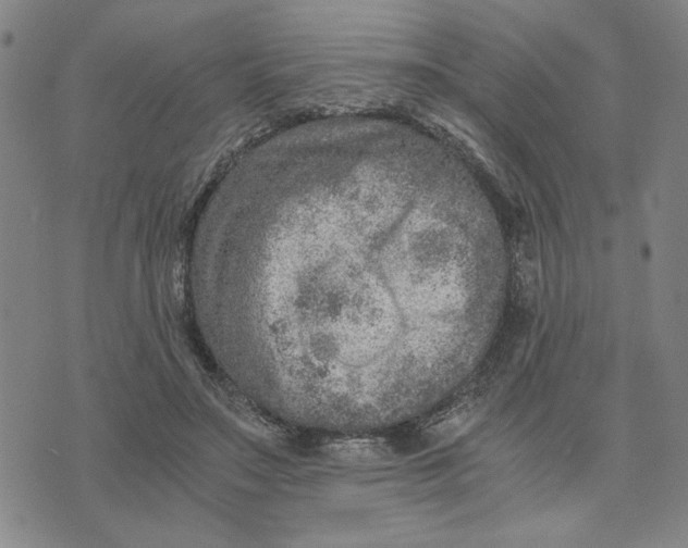 X0000076270499200610191743