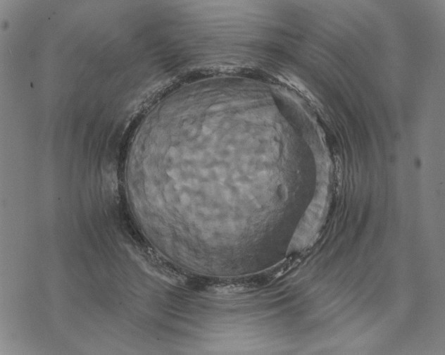 X0000076270500200610191743