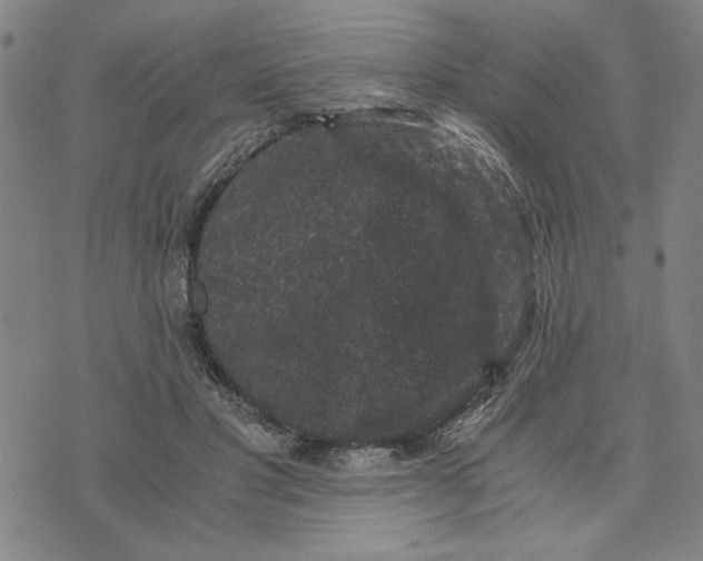 X0000076270501200610191743