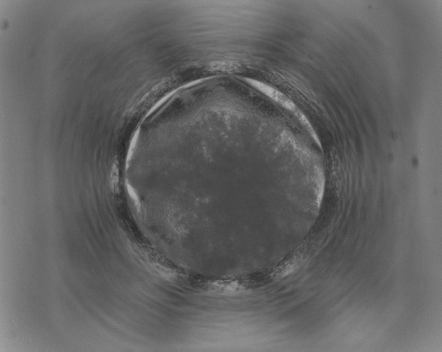 X0000076270502200610191743